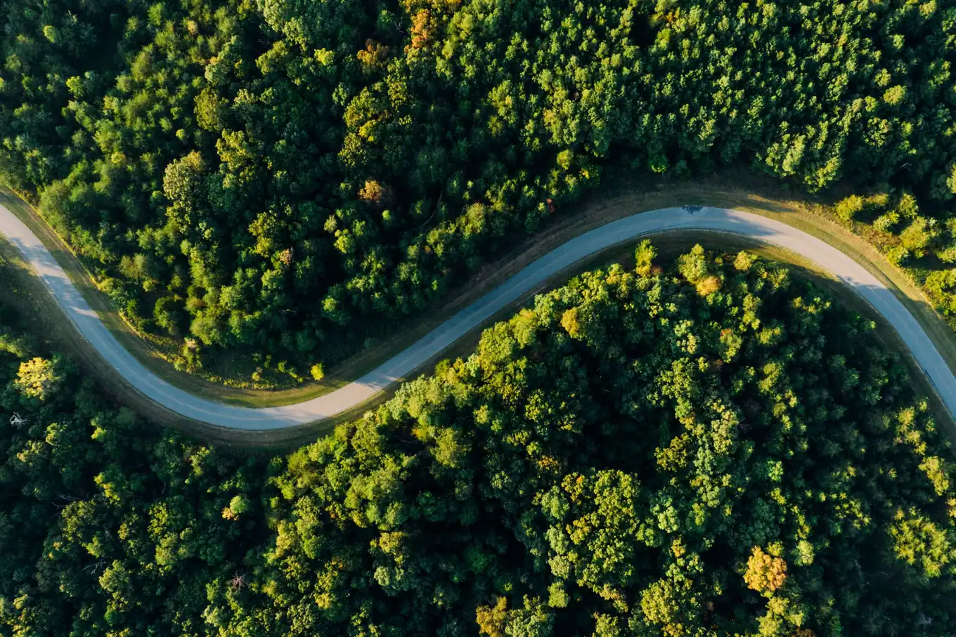 An aerial view of an empty road winding through a green forest